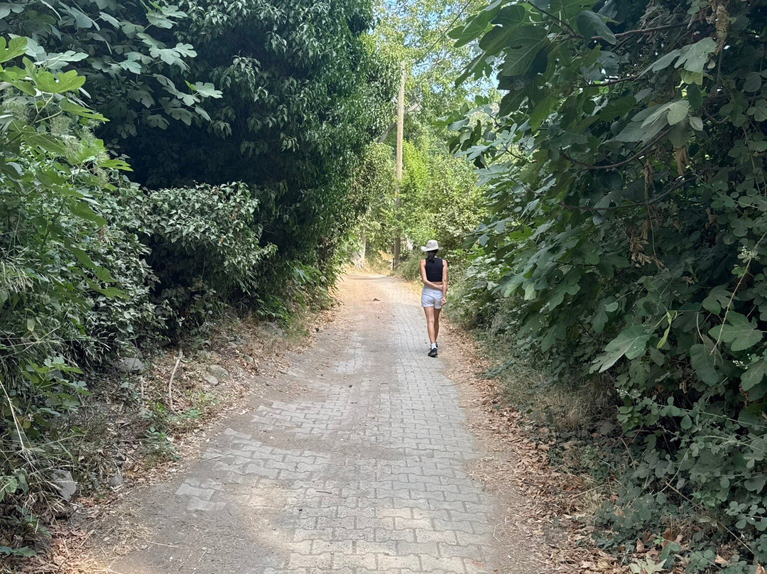 Ganos Yolu-Sarkoy必去景点