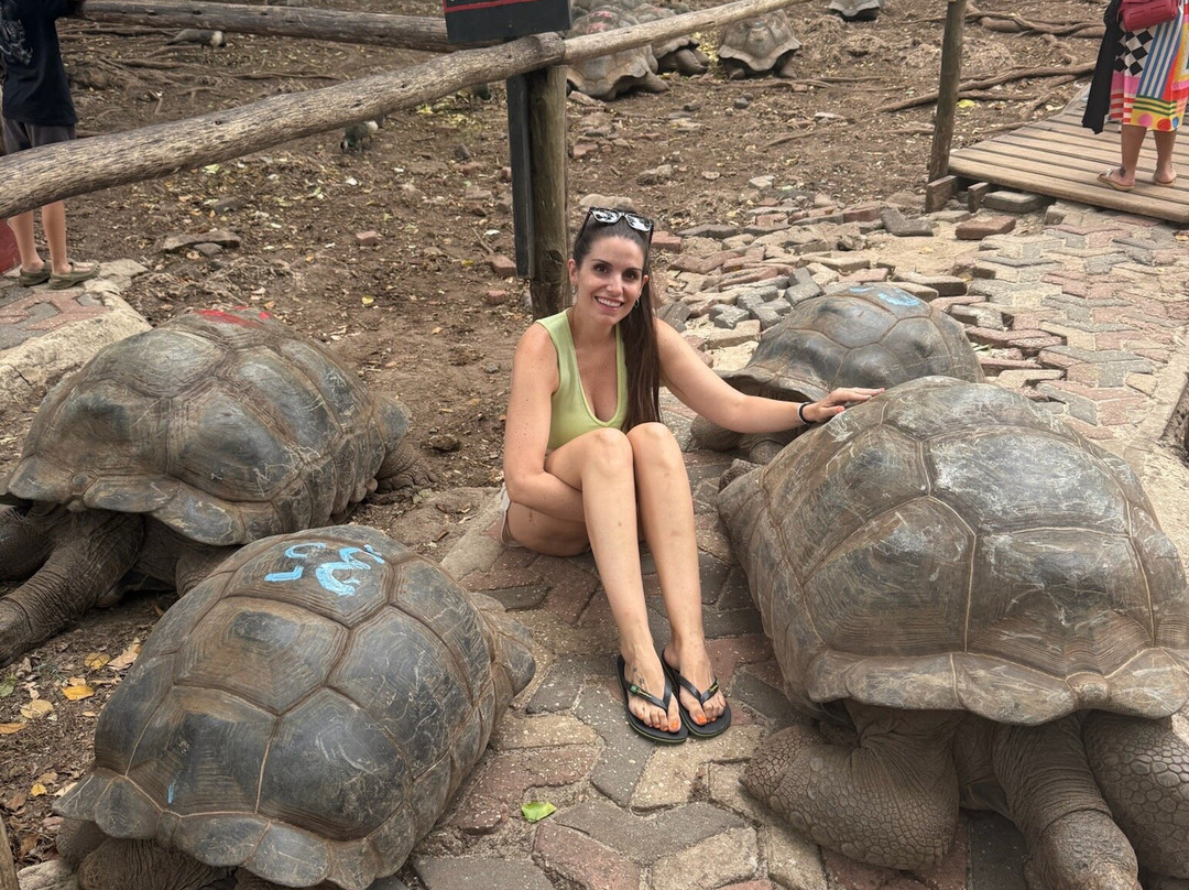 Guía Español -Zanzibar-石头城必去景点