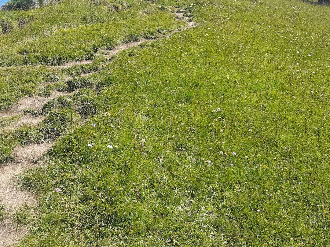 Monte Pic-Santa Cristina Valgardena必去景点