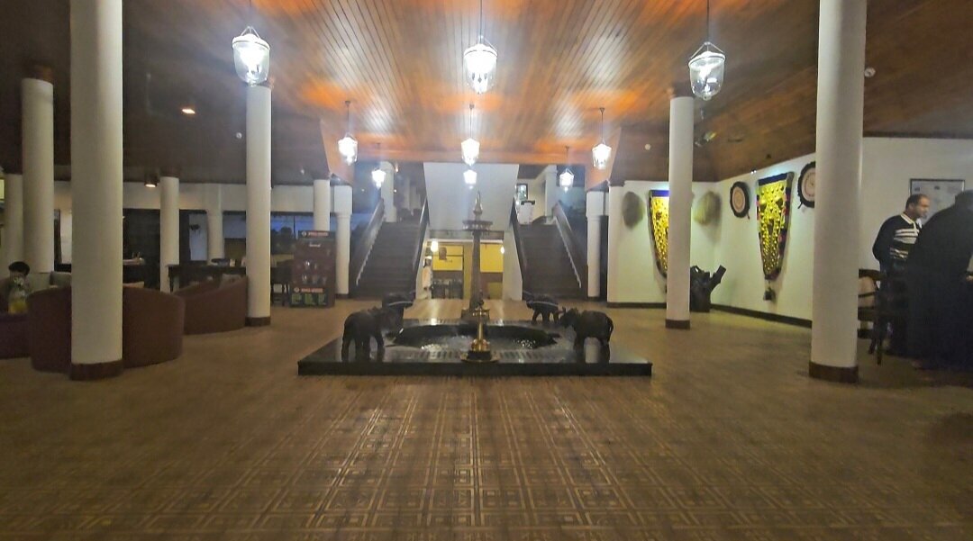 The Elephant Court-官方