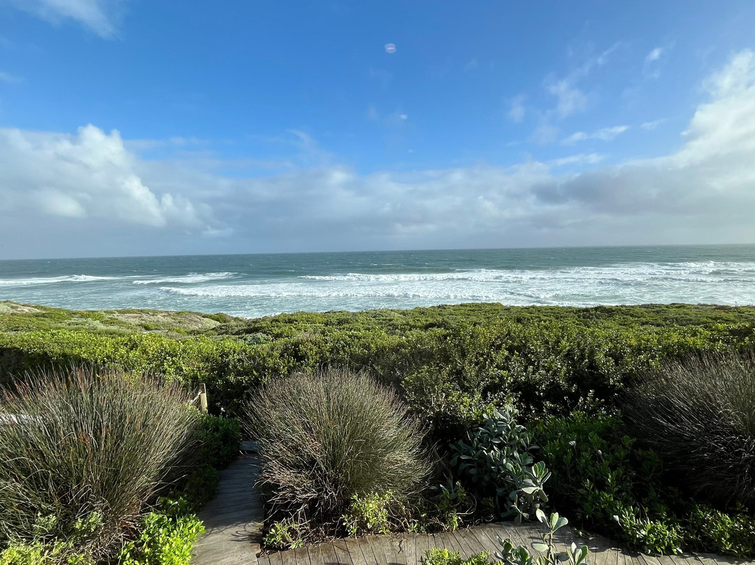 The Olive Tree Villa主图