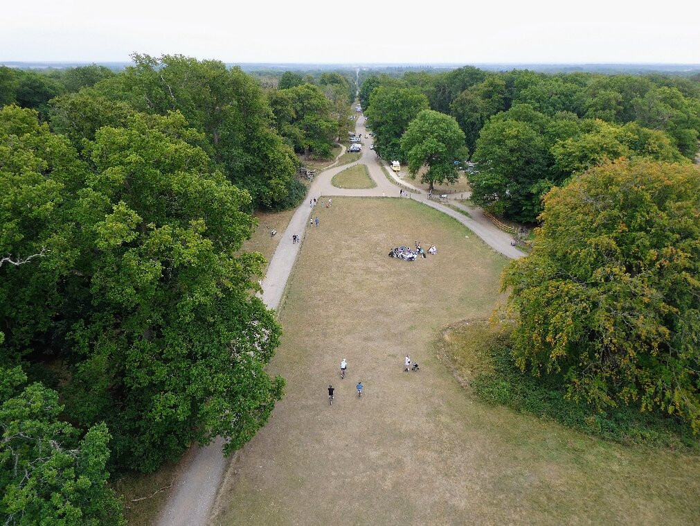 National Trust - Ashridge Estate-Berkhamsted必去景点