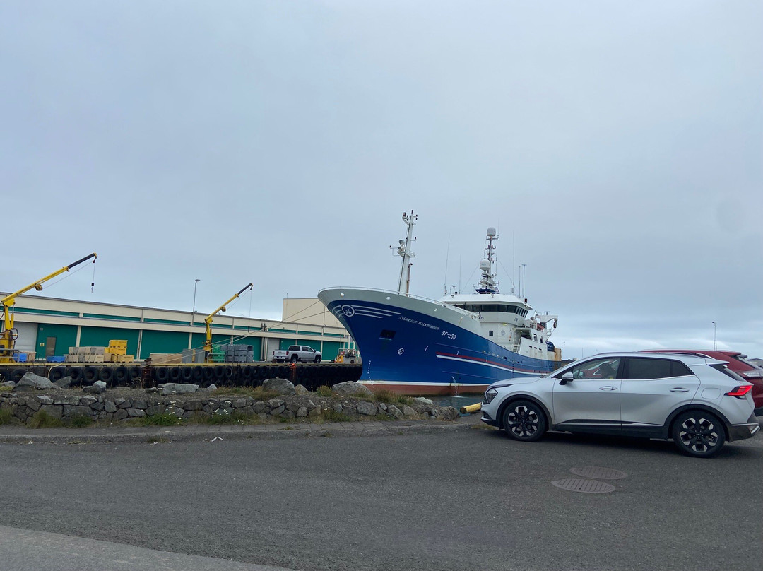 Hofn Local Guide-赫本必去景点