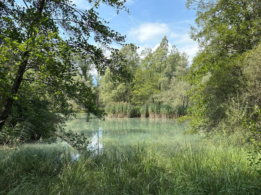 Riserva Naturale Vincheto di Celarda-Celarda必去景点