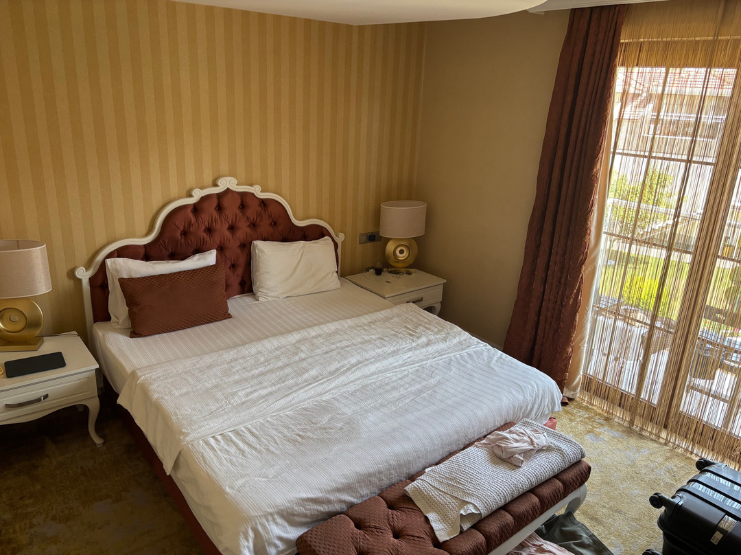 Han Deluxe Hotel & Suites主图