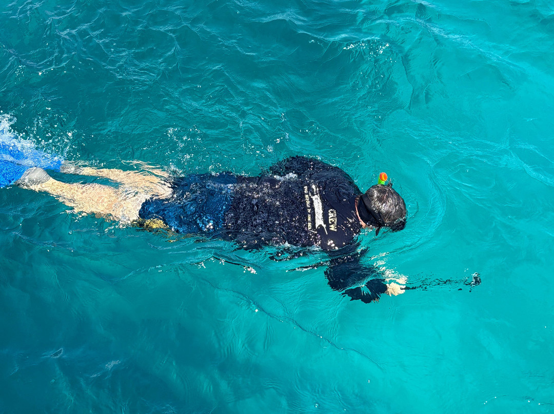 View Ningaloo-埃克斯茅斯必去景点