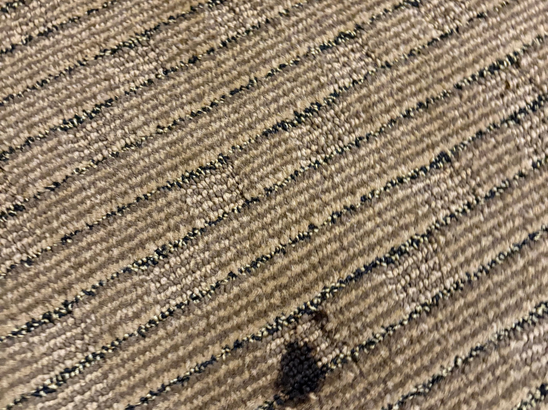 Comfort Suites Atlantic City North主图