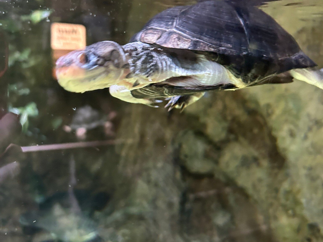 Aquarium du Limousin-利摩日必去景点