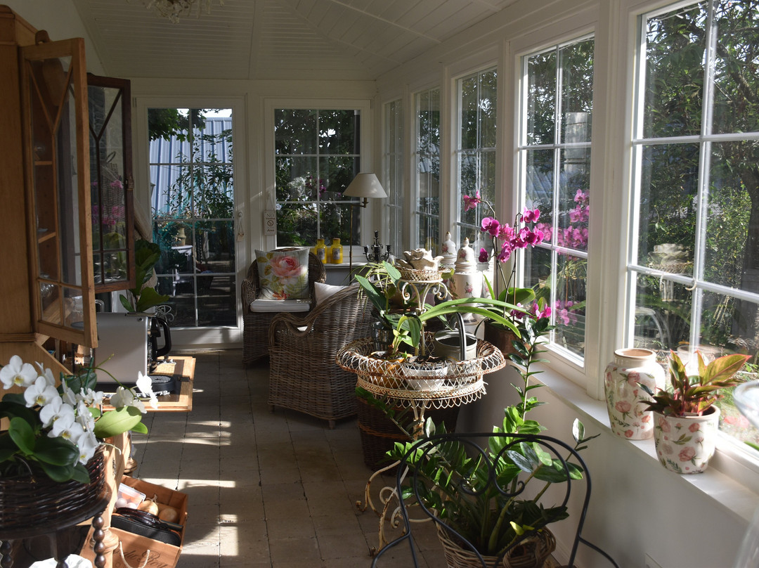 Isabelle's Rosegarden