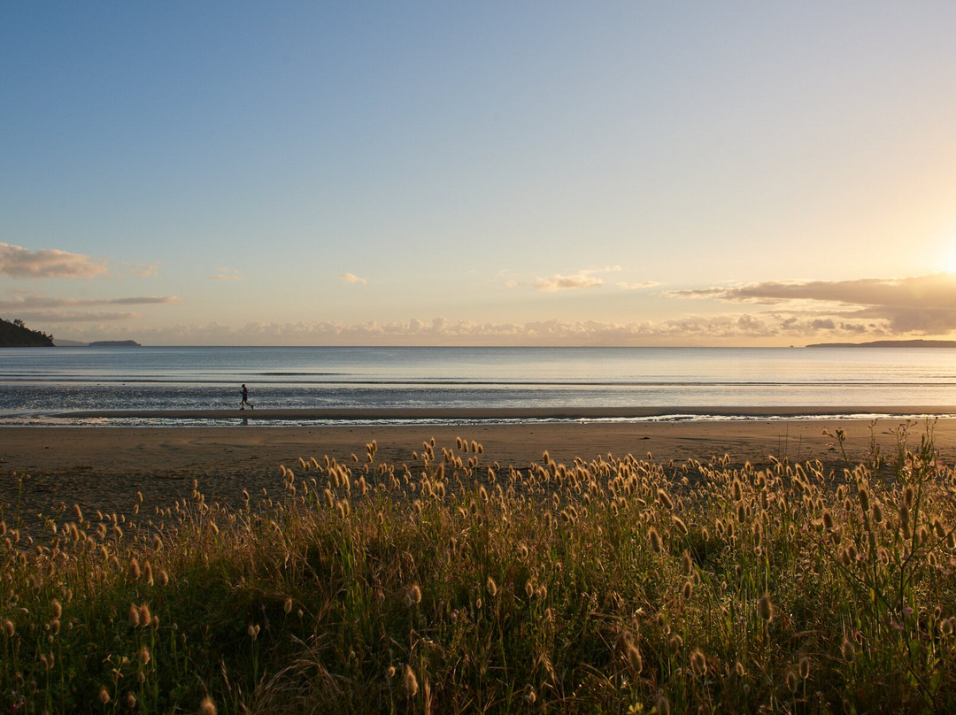 Orewa Kiwi Cabins