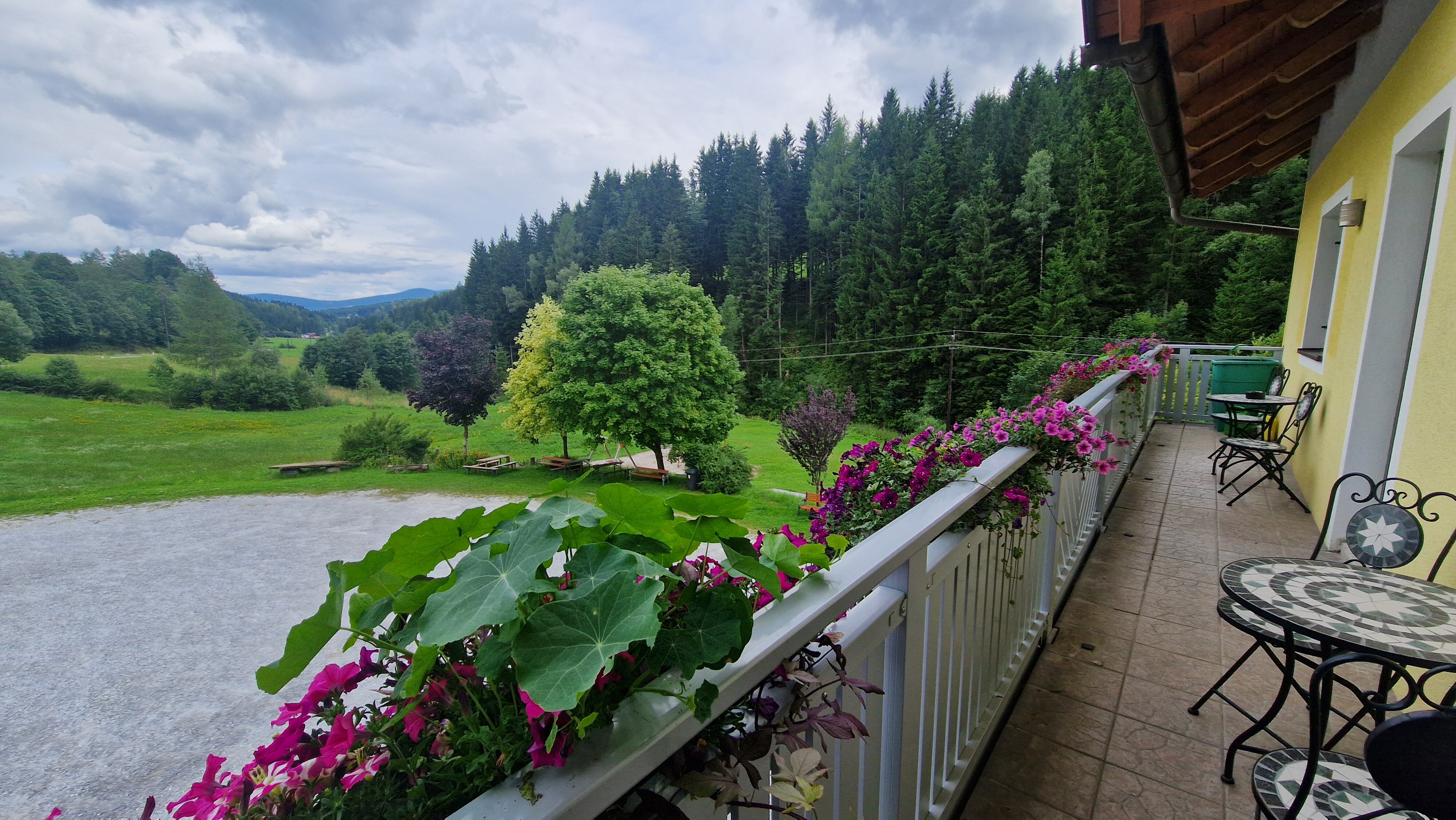 Gasthof Spengerwirt-酒店景观