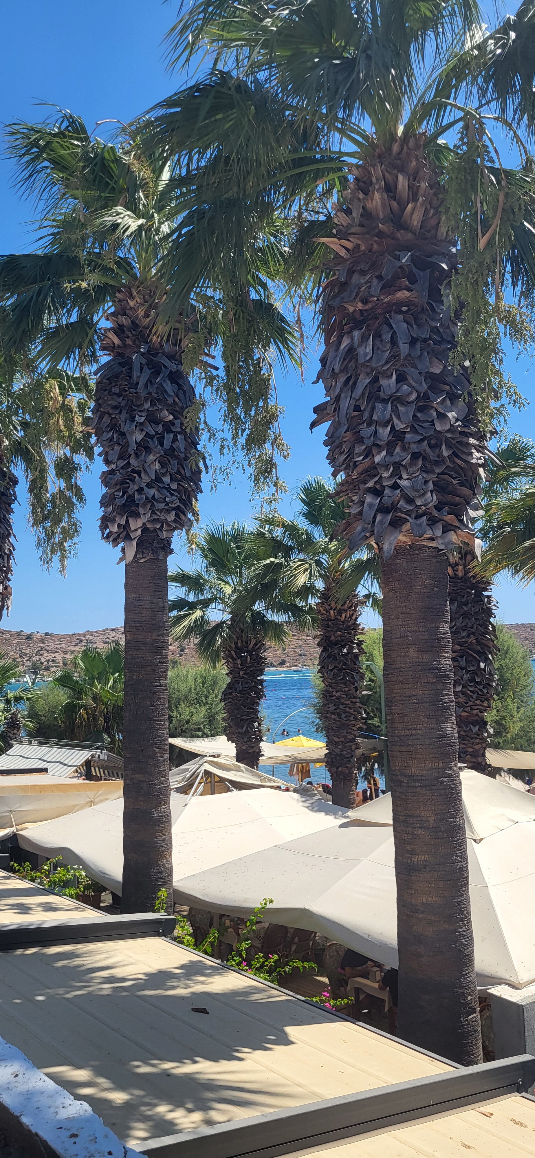 Sami Beach Hotel-浴室