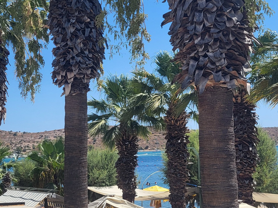 Sami Beach Hotel主图