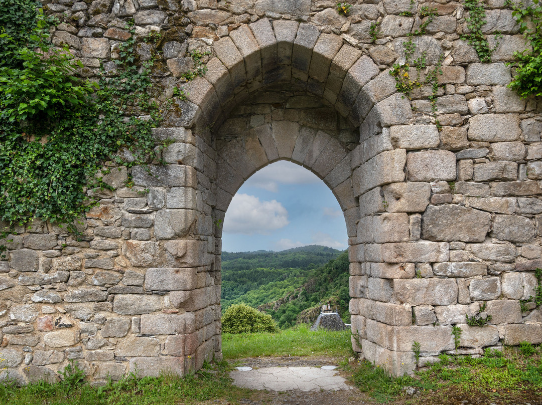 Ruines Château De La Roche Haute