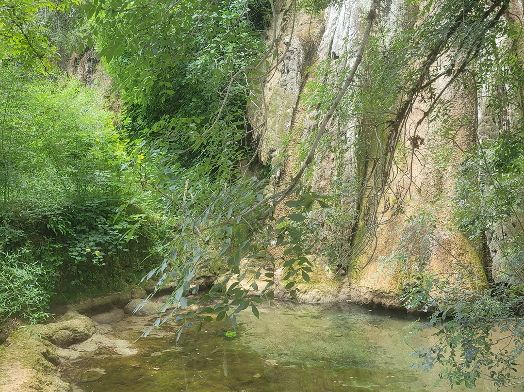 Cascade Petrifiante-Caylus必去景点