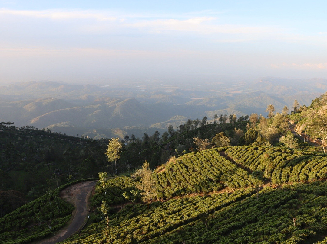 休闲山景假日酒店主图