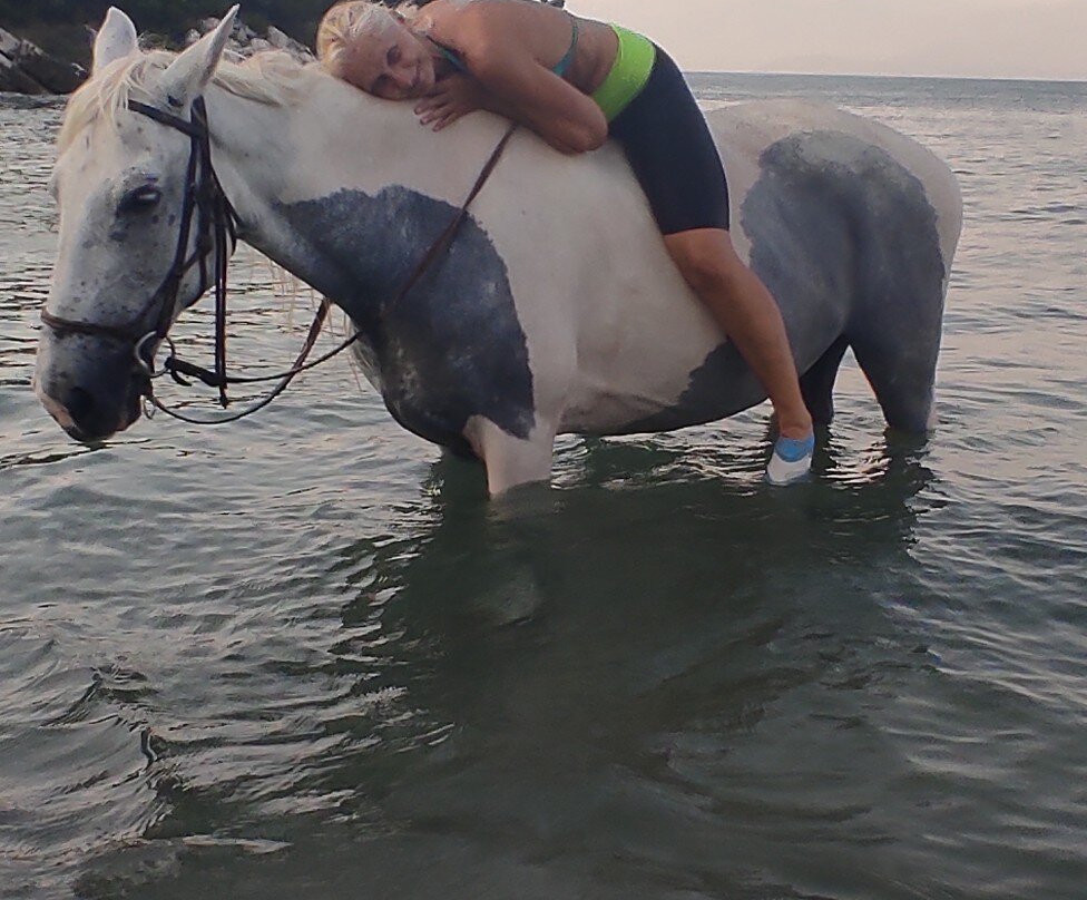 Arena horse riding corfu-Perithia必去景点