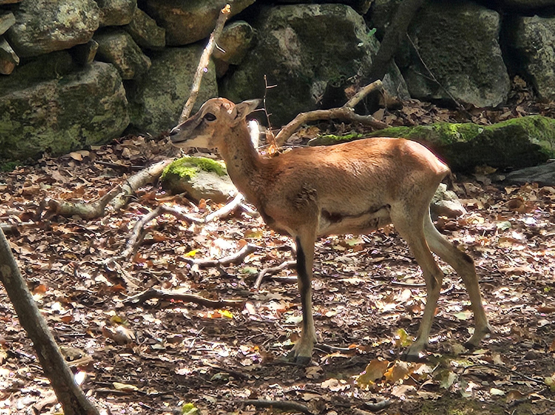 Gorges d'Heric-Mons必去景点