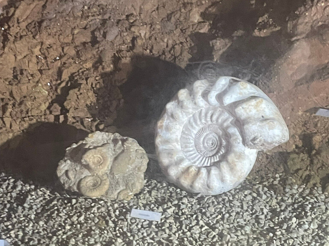 Grotte de Baume Obscure-Saint-Vallier-de-Thiey必去景点
