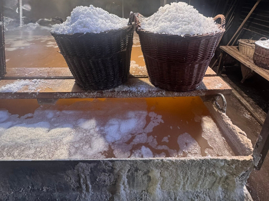 Laesoe Saltsyderiet-Laesoe Island必去景点