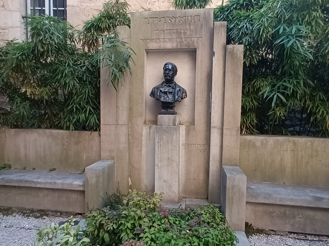 Maison natale de Louis Pasteur-多勒必去景点