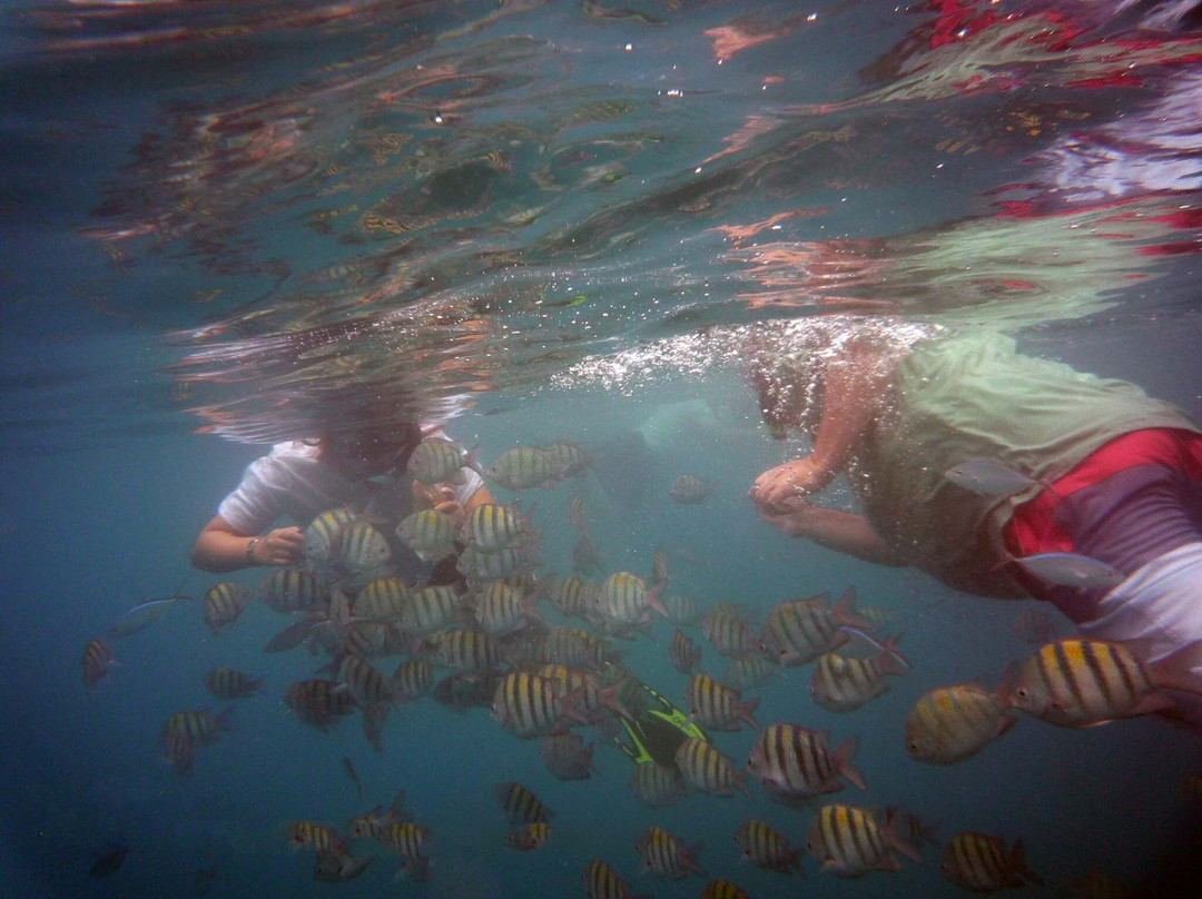 Divecenter Merlin-苏莎亚必去景点