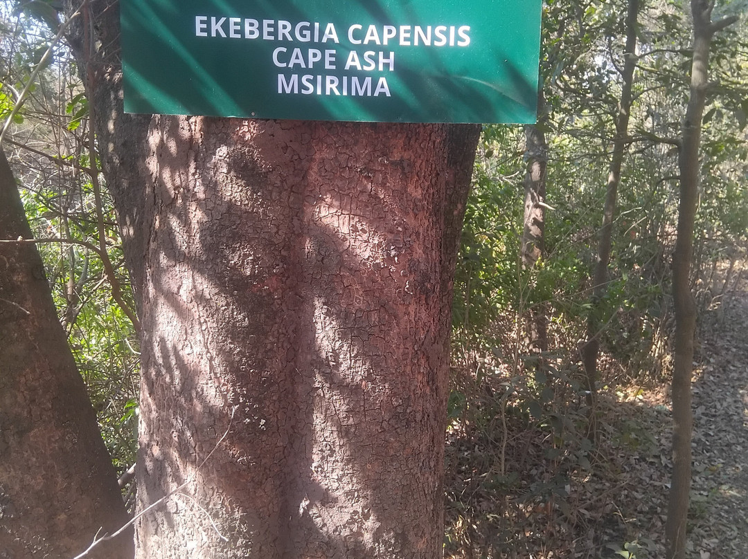 Lilongwe Wildlife Centre-里朗威必去景点