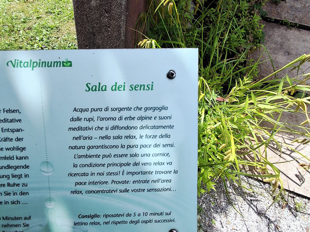 Vitalpinum-Assling必去景点