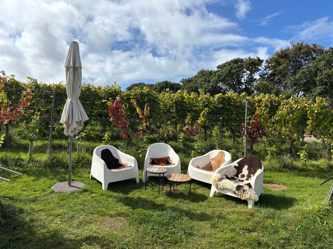 Trevibban Mill Vineyard & Orchard-Wadebridge必去景点