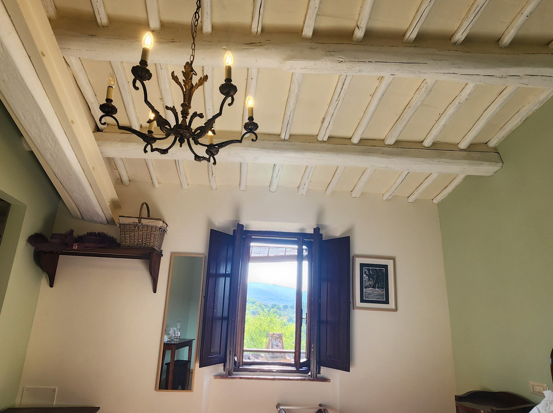 Podere Terreno Alla Via Della Volpaia主图