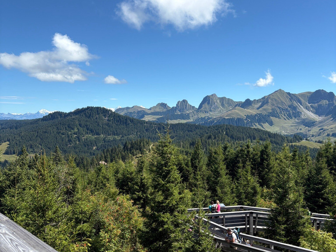 Naturpark Gantrisch-Schwarzenburg必去景点
