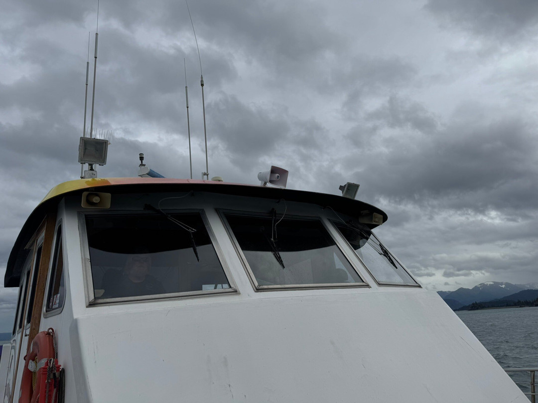 Rainbow Tours-荷马必去景点