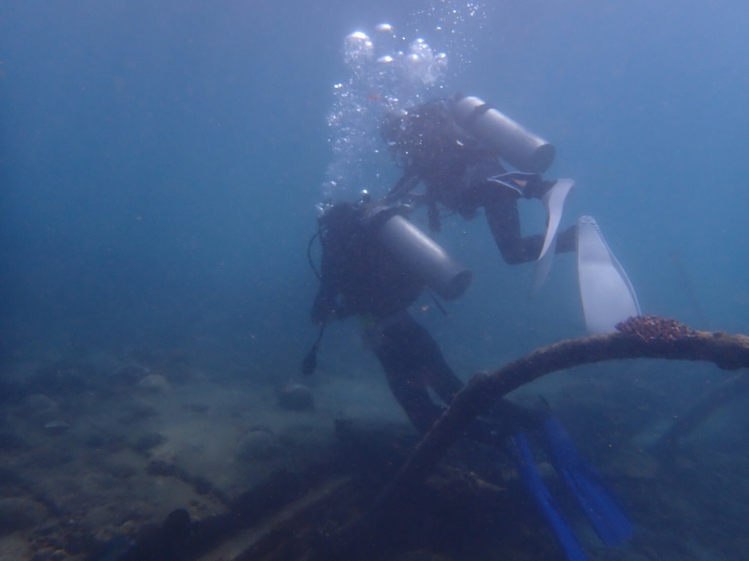 Jellyfish Divers Village-沙努尔必去景点