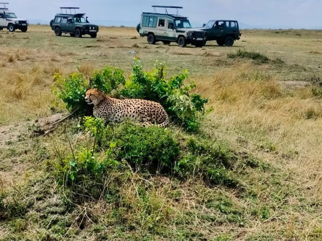 Kenya Safari Con Kassim Luigi-瓦塔木必去景点