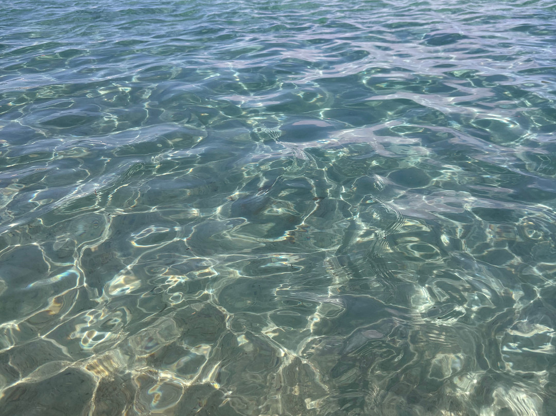 Spiaggia La Marmorata-圣特雷莎加卢拉必去景点