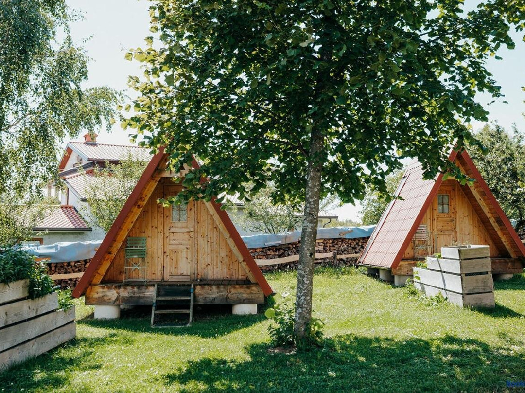 DS Camping