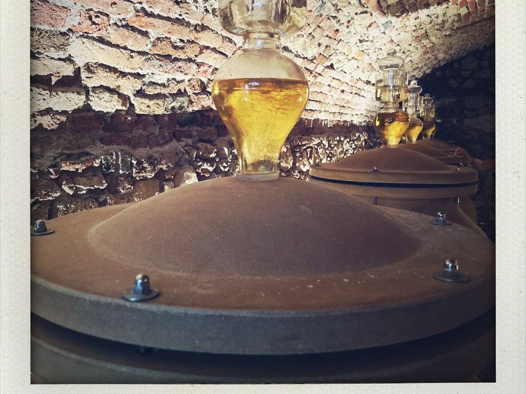 Cantina del Castello-Soave必去景点