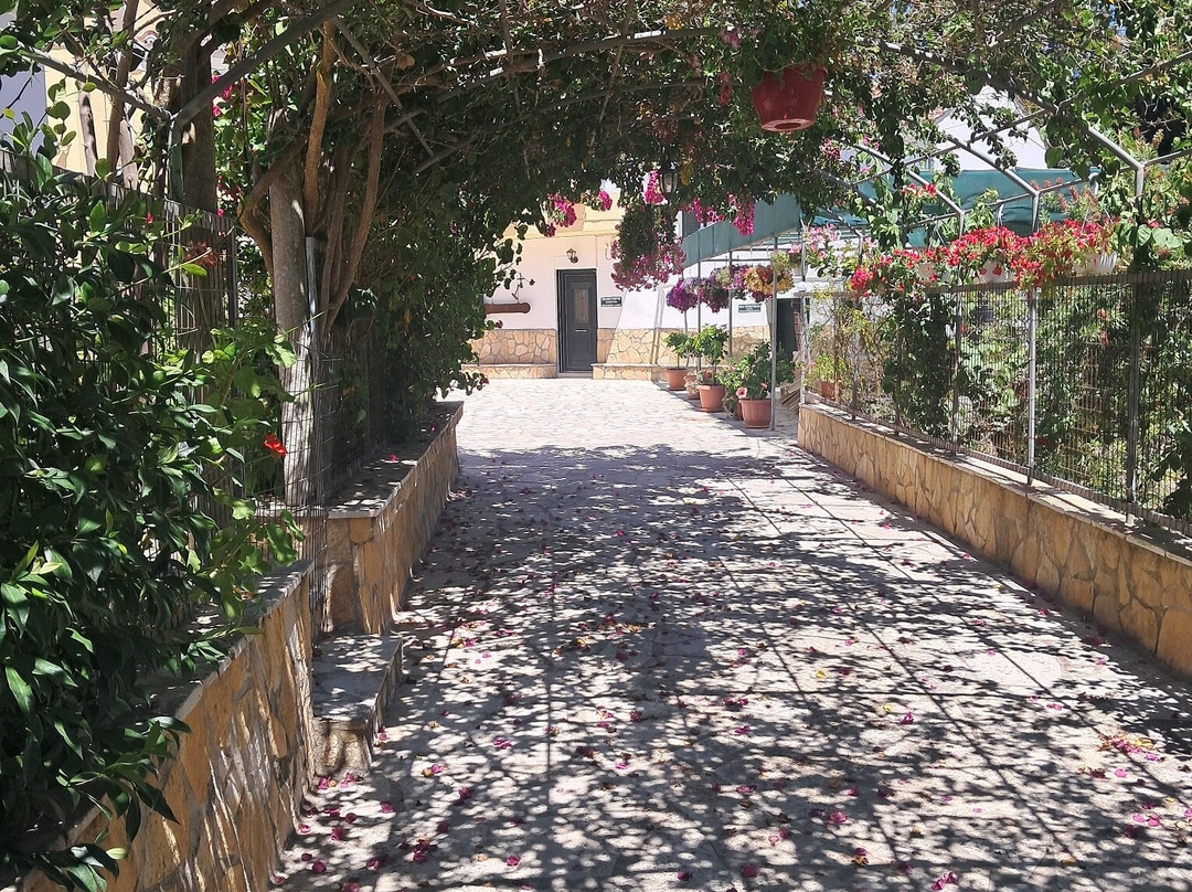 Kloster Kirás Ton Ángelon-Lefkimi必去景点