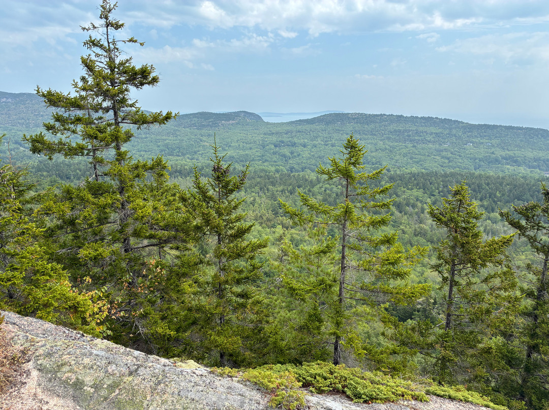 Big Spruce Brewing-布雷顿角岛必去景点