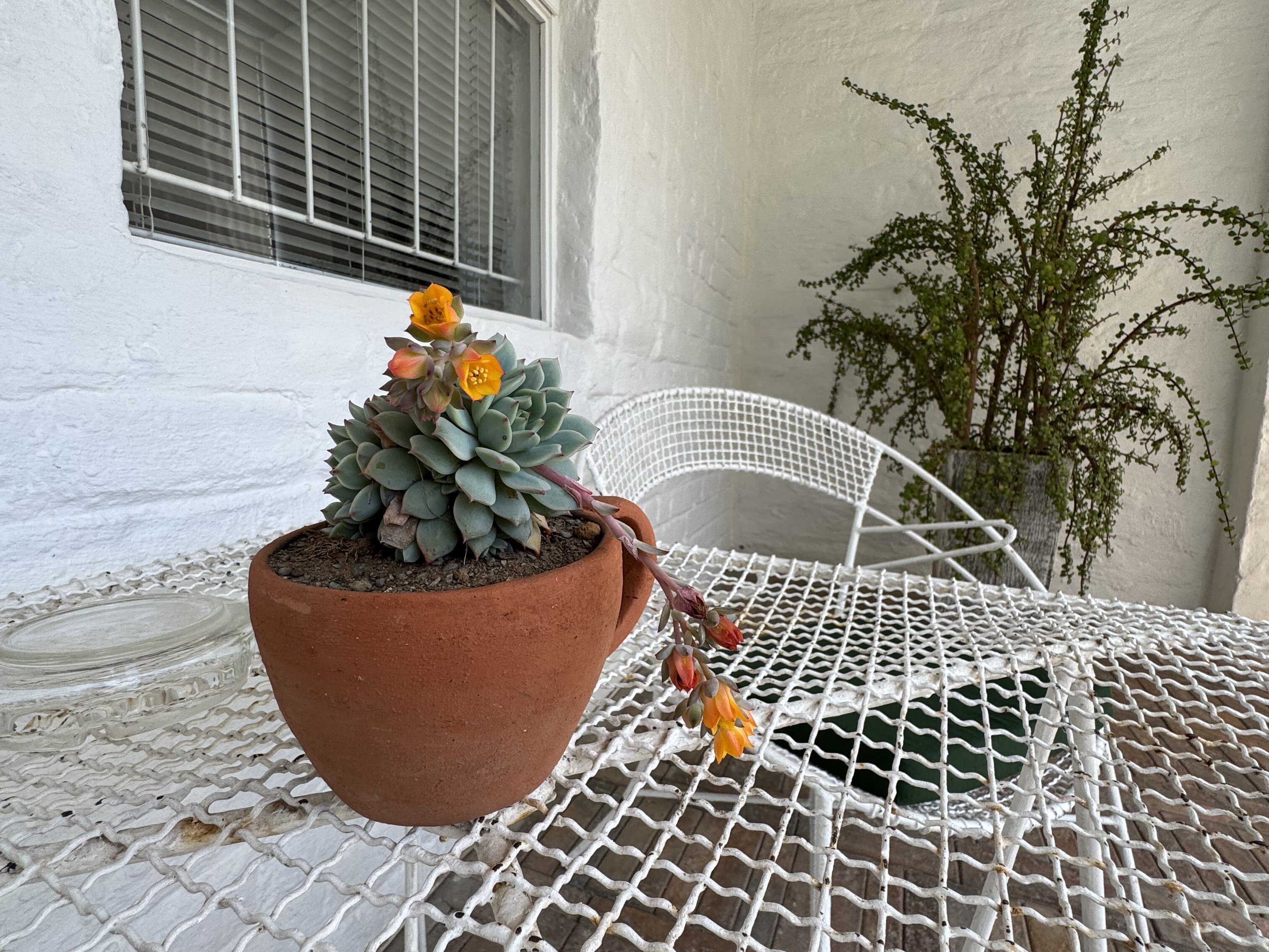 Rietjiesbos Self Catering-客卧