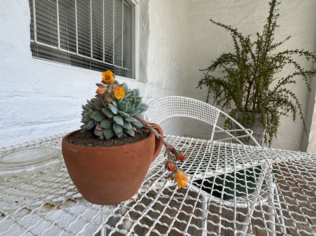 Rietjiesbos Self Catering主图