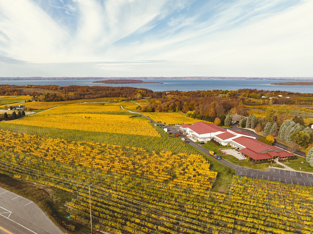 Chateau Grand Traverse Winery-特拉弗斯城必去景点