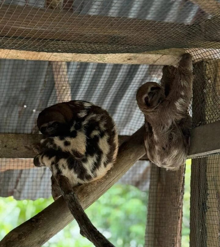 Aqua Amazon Xtreme-伊基托斯必去景点