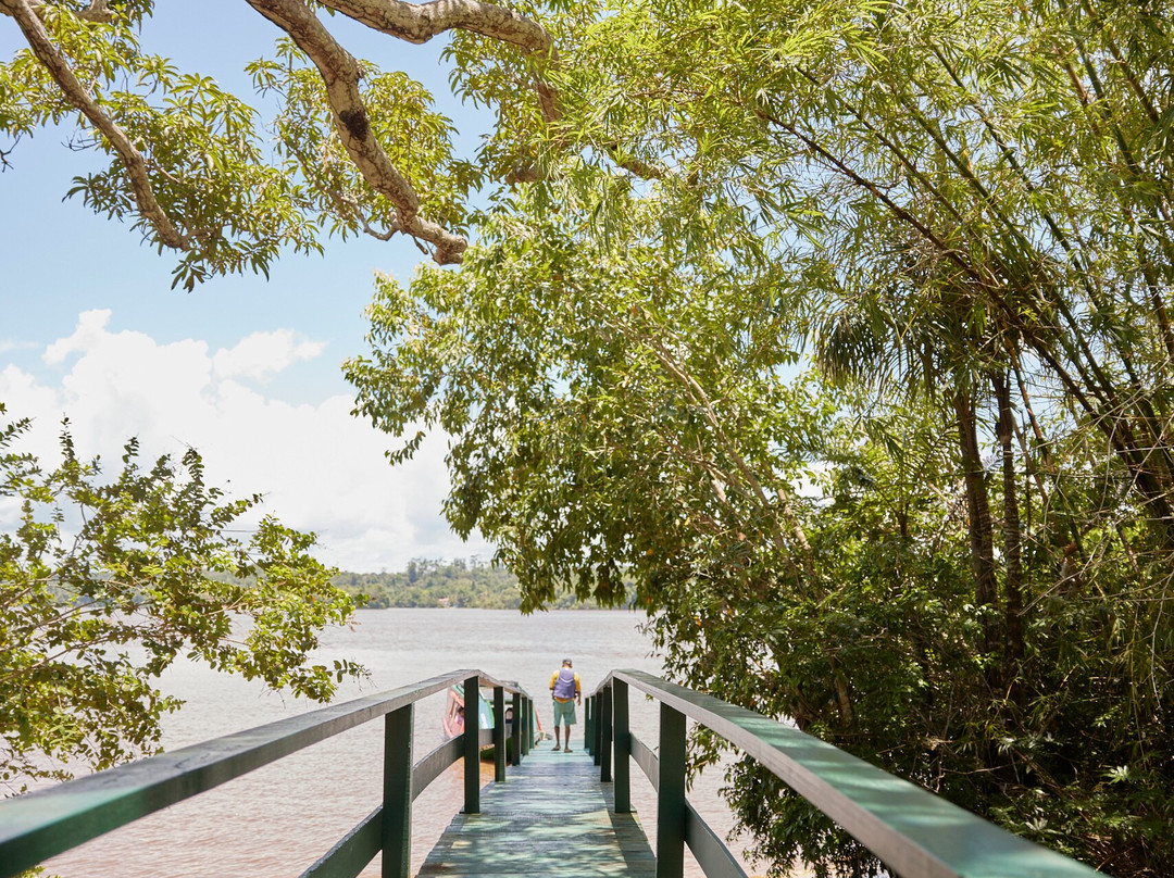 Touring Guyana-乔治城必去景点