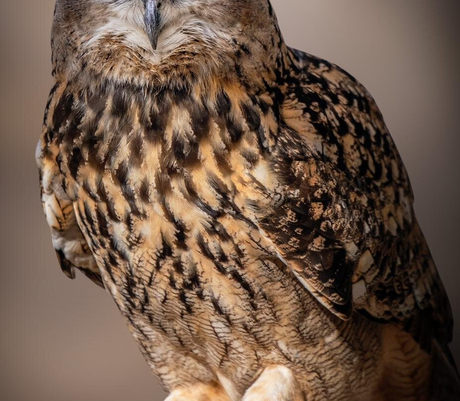 Desert Day at the Jack Joseph and Morton Mandel Zoo-贝尔谢巴必去景点