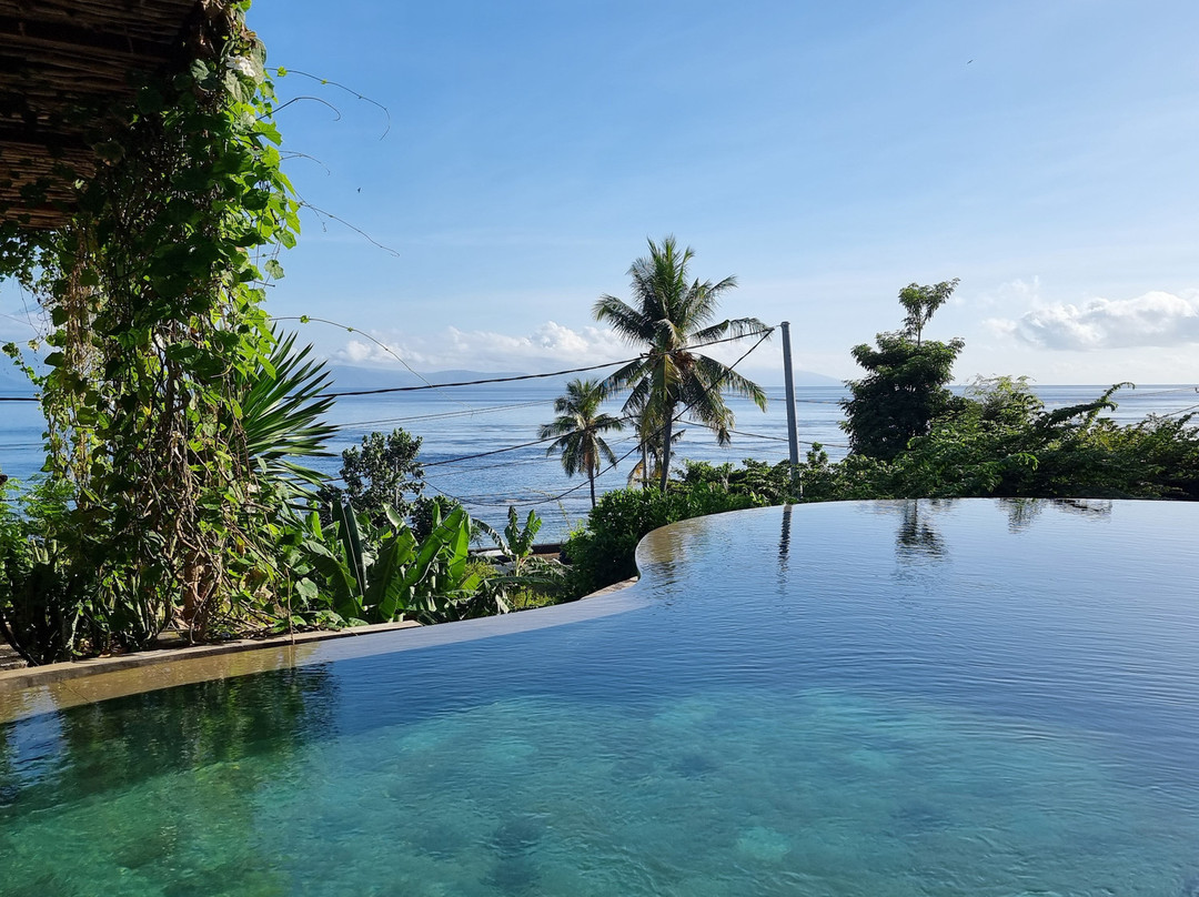 Purple Dive Penida-珀尼达岛必去景点