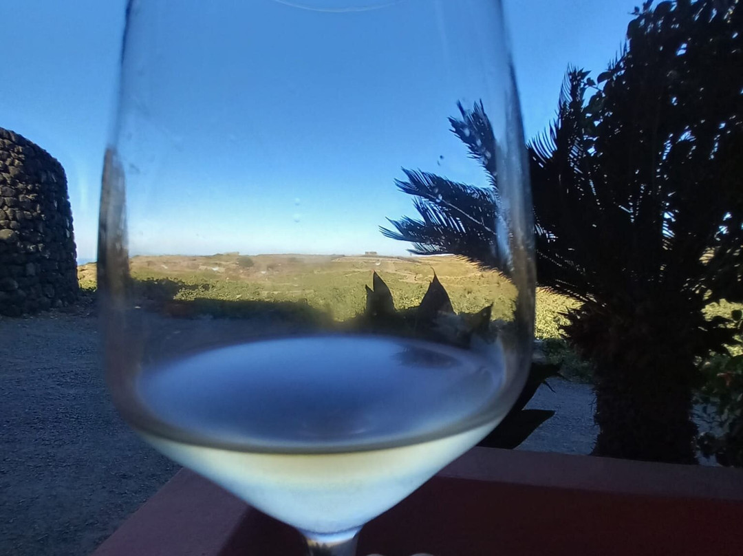 Cantina Mueggen di Salvatore Murana-潘泰莱里亚必去景点