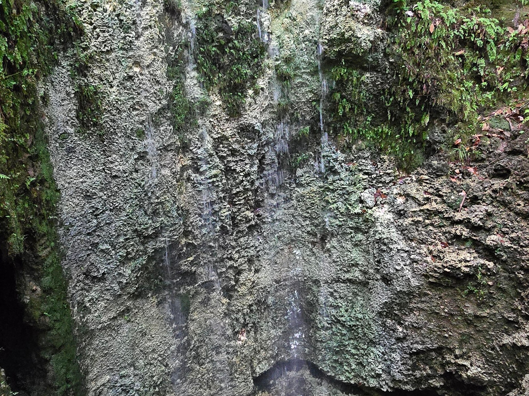 Falling Waters State Park-Chipley必去景点