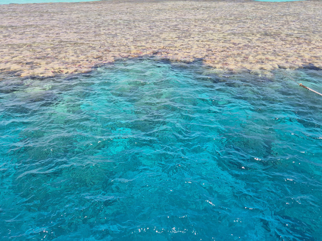 MenaDive-Safaga必去景点