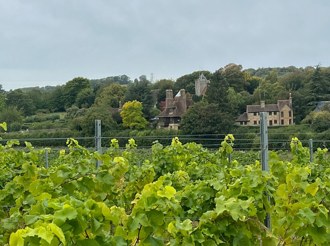 Silverhand Estate-Luddesdown必去景点